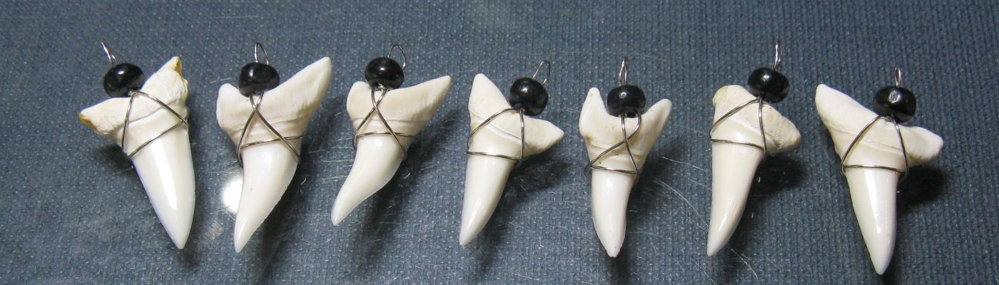 トコ・ビーズ | アオザメ(マコシャーク)の歯（ワイヤー付）