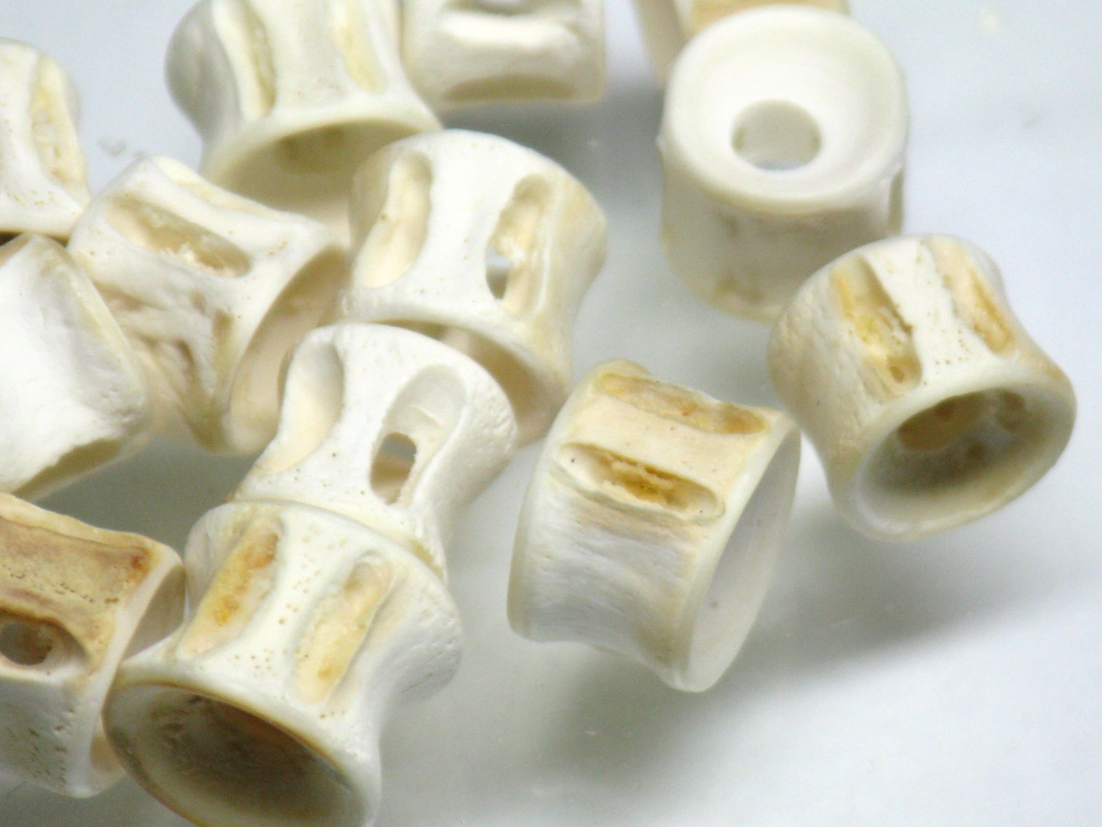 TOKO-BEADS |AB138-07 Fish Bone bead (2g) 6~8mm