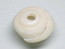 TOKO-BEADS AB189-01 Puka shell 19mm AB189-01 プカシェル 19mm Asian bead & African bead  Handmade,Lampeork,bead,asia,india,ethnic,parts,accessory,beads とんぼ玉,ビーズ,トンボ玉,アジア,インド,エスニック,手作り,パーツ,アクセサリー