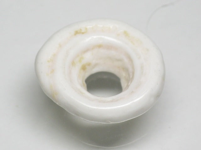 TOKO-BEADS AB189-10 Puka shell 19.5mm AB189-10 プカシェル 19.5mm Asian bead & African bead  Handmade,Lampeork,bead,asia,india,ethnic,parts,accessory,beads とんぼ玉,ビーズ,トンボ玉,アジア,インド,エスニック,手作り,パーツ,アクセサリー