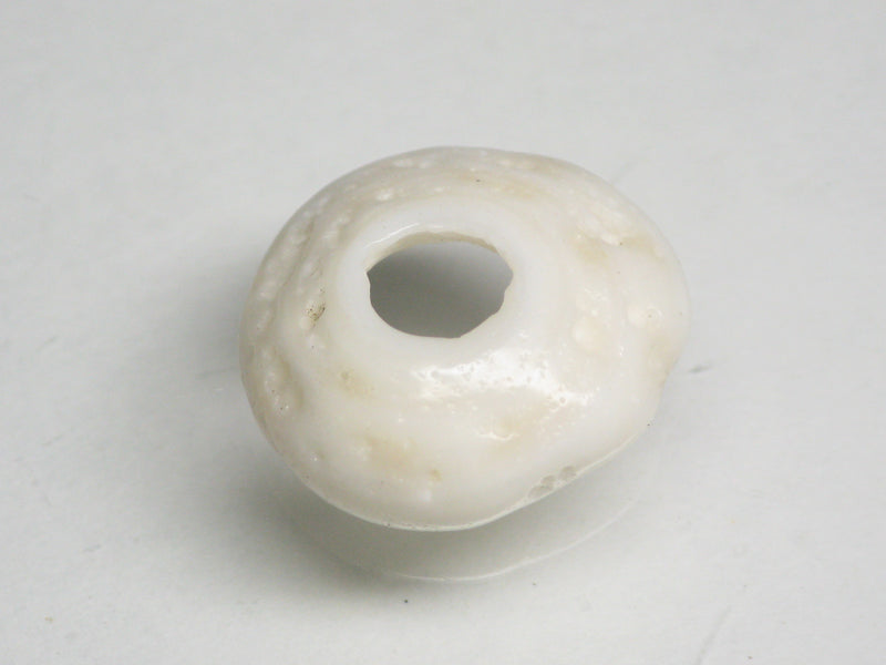 TOKO-BEADS AB189-12 Puka shell 16.5mm AB189-12 プカシェル 16.5mm Asian bead & African bead  Handmade,Lampeork,bead,asia,india,ethnic,parts,accessory,beads とんぼ玉,ビーズ,トンボ玉,アジア,インド,エスニック,手作り,パーツ,アクセサリー