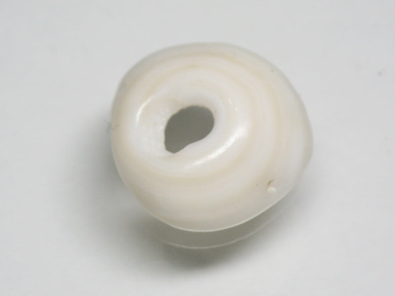 TOKO-BEADS AB189-17 Puka shell 16mm AB189-17 プカシェル 16mm Asian bead & African bead  Handmade,Lampeork,bead,asia,india,ethnic,parts,accessory,beads とんぼ玉,ビーズ,トンボ玉,アジア,インド,エスニック,手作り,パーツ,アクセサリー