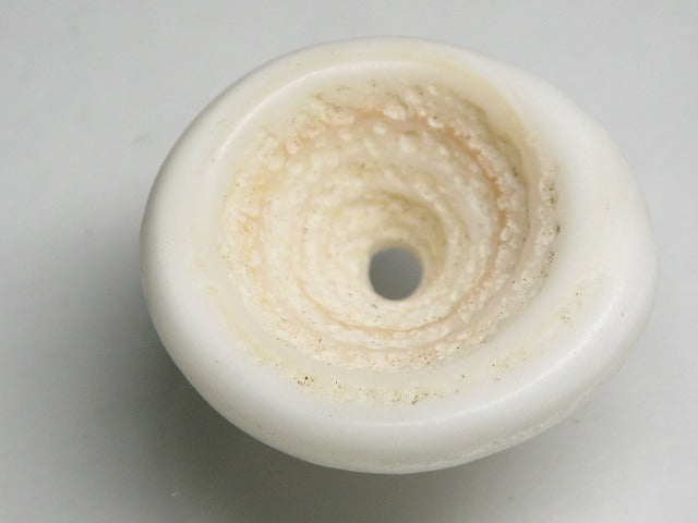 TOKO-BEADS AB189-20 Puka shell 26mm AB189-20 プカシェル 26mm Asian bead & African bead  Handmade,Lampeork,bead,asia,india,ethnic,parts,accessory,beads とんぼ玉,ビーズ,トンボ玉,アジア,インド,エスニック,手作り,パーツ,アクセサリー