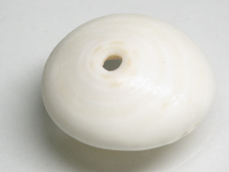 TOKO-BEADS AB189-20 Puka shell 26mm AB189-20 プカシェル 26mm Asian bead & African bead  Handmade,Lampeork,bead,asia,india,ethnic,parts,accessory,beads とんぼ玉,ビーズ,トンボ玉,アジア,インド,エスニック,手作り,パーツ,アクセサリー