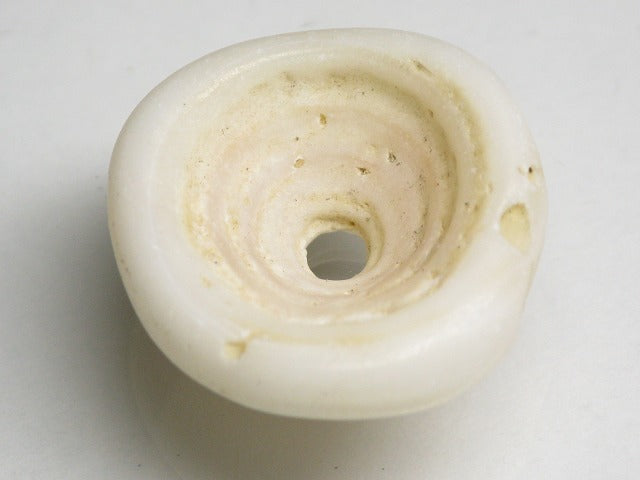 TOKO-BEADS AB189-23 Puka shell 23.5mm AB189-23 プカシェル 23.5mm Asian bead & African bead  Handmade,Lampeork,bead,asia,india,ethnic,parts,accessory,beads とんぼ玉,ビーズ,トンボ玉,アジア,インド,エスニック,手作り,パーツ,アクセサリー