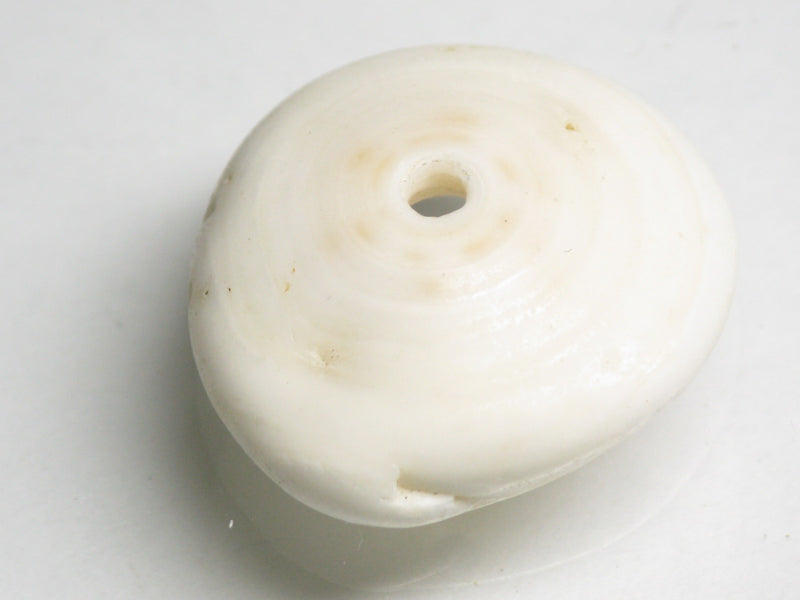 TOKO-BEADS AB189-28 Puka shell 24mm AB189-28 プカシェル 24mm Asian bead & African bead  Handmade,Lampeork,bead,asia,india,ethnic,parts,accessory,beads とんぼ玉,ビーズ,トンボ玉,アジア,インド,エスニック,手作り,パーツ,アクセサリー