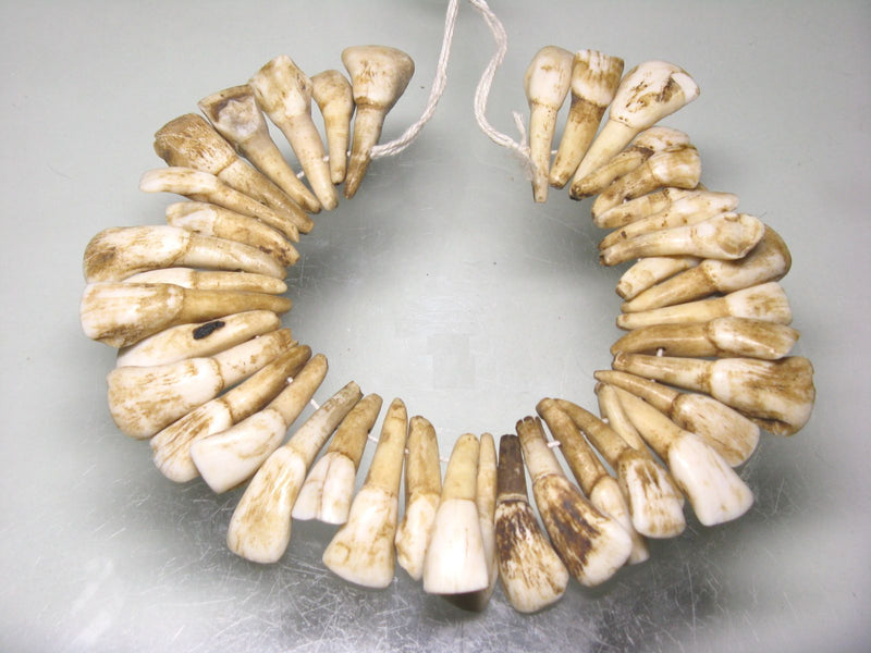 TOKO-BEADS AB201-01N Buff Tooth (strand)  35~40mm AB201-01N 水牛の歯（連）  35~40mm Asian bead & African bead  Handmade,Lampeork,bead,asia,india,ethnic,parts,accessory,beads とんぼ玉,ビーズ,トンボ玉,アジア,インド,エスニック,手作り,パーツ,アクセサリー