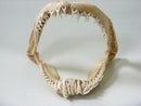 TOKO-BEADS AB301-16 Shark Jaw (Sand Tiger Shark) 320mm AB301-16 サメの顎（シロワニザメ） 320mm Asian bead & African bead  Handmade,Lampeork,bead,asia,india,ethnic,parts,accessory,beads とんぼ玉,ビーズ,トンボ玉,アジア,インド,エスニック,手作り,パーツ,アクセサリー