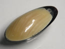TOKO-BEADS | TOKO-BEADS |AB303-03 アコヤ貝チャーム（在庫限り） 33mm | TOKO-BEADS |AB303-03 Shell Charm (Final stock) 33mm Asian bead & African bead  Handmade,Lampeork,bead,asia,india,ethnic,parts,accessory,beads とんぼ玉,ビーズ,トンボ玉,アジア,インド,エスニック,手作り,パーツ,アクセサリー