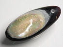 TOKO-BEADS | TOKO-BEADS |AB303-07 アコヤ貝チャーム（在庫限り） 33mm | TOKO-BEADS |AB303-07 Shell Charm (Final stock) 33mm Asian bead & African bead  Handmade,Lampeork,bead,asia,india,ethnic,parts,accessory,beads とんぼ玉,ビーズ,トンボ玉,アジア,インド,エスニック,手作り,パーツ,アクセサリー