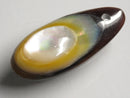TOKO-BEADS | TOKO-BEADS |AB303-09 アコヤ貝チャーム（在庫限り） 33mm | TOKO-BEADS |AB303-09 Shell Charm (Final stock) 33mm Asian bead & African bead  Handmade,Lampeork,bead,asia,india,ethnic,parts,accessory,beads とんぼ玉,ビーズ,トンボ玉,アジア,インド,エスニック,手作り,パーツ,アクセサリー