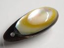 TOKO-BEADS | TOKO-BEADS |AB303-09 アコヤ貝チャーム（在庫限り） 33mm | TOKO-BEADS |AB303-09 Shell Charm (Final stock) 33mm Asian bead & African bead  Handmade,Lampeork,bead,asia,india,ethnic,parts,accessory,beads とんぼ玉,ビーズ,トンボ玉,アジア,インド,エスニック,手作り,パーツ,アクセサリー
