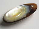 TOKO-BEADS | TOKO-BEADS |AB303-10 アコヤ貝チャーム（在庫限り） 33mm | TOKO-BEADS |AB303-10 Shell Charm (Final stock) 33mm Asian bead & African bead  Handmade,Lampeork,bead,asia,india,ethnic,parts,accessory,beads とんぼ玉,ビーズ,トンボ玉,アジア,インド,エスニック,手作り,パーツ,アクセサリー