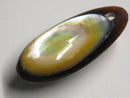 TOKO-BEADS | TOKO-BEADS |AB303-11 アコヤ貝チャーム（在庫限り） 33mm | TOKO-BEADS |AB303-11 Shell Charm (Final stock) 33mm Asian bead & African bead  Handmade,Lampeork,bead,asia,india,ethnic,parts,accessory,beads とんぼ玉,ビーズ,トンボ玉,アジア,インド,エスニック,手作り,パーツ,アクセサリー
