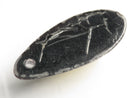 TOKO-BEADS | TOKO-BEADS |AB303-13 アコヤ貝チャーム（在庫限り） 33mm | TOKO-BEADS |AB303-13 Shell Charm (Final stock) 33mm Asian bead & African bead  Handmade,Lampeork,bead,asia,india,ethnic,parts,accessory,beads とんぼ玉,ビーズ,トンボ玉,アジア,インド,エスニック,手作り,パーツ,アクセサリー