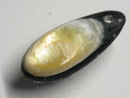 TOKO-BEADS | TOKO-BEADS |AB303-13 アコヤ貝チャーム（在庫限り） 33mm | TOKO-BEADS |AB303-13 Shell Charm (Final stock) 33mm Asian bead & African bead  Handmade,Lampeork,bead,asia,india,ethnic,parts,accessory,beads とんぼ玉,ビーズ,トンボ玉,アジア,インド,エスニック,手作り,パーツ,アクセサリー