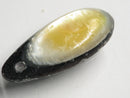 TOKO-BEADS | TOKO-BEADS |AB303-13 アコヤ貝チャーム（在庫限り） 33mm | TOKO-BEADS |AB303-13 Shell Charm (Final stock) 33mm Asian bead & African bead  Handmade,Lampeork,bead,asia,india,ethnic,parts,accessory,beads とんぼ玉,ビーズ,トンボ玉,アジア,インド,エスニック,手作り,パーツ,アクセサリー
