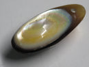 TOKO-BEADS | TOKO-BEADS |AB303-15 アコヤ貝チャーム（在庫限り） 33mm | TOKO-BEADS |AB303-15 Shell Charm (Final stock) 33mm Asian bead & African bead  Handmade,Lampeork,bead,asia,india,ethnic,parts,accessory,beads とんぼ玉,ビーズ,トンボ玉,アジア,インド,エスニック,手作り,パーツ,アクセサリー