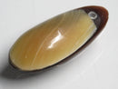 TOKO-BEADS | TOKO-BEADS |AB303-17 アコヤ貝チャーム（在庫限り） 33mm | TOKO-BEADS |AB303-17 Shell Charm (Final stock) 33mm Asian bead & African bead  Handmade,Lampeork,bead,asia,india,ethnic,parts,accessory,beads とんぼ玉,ビーズ,トンボ玉,アジア,インド,エスニック,手作り,パーツ,アクセサリー