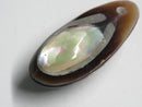 TOKO-BEADS | TOKO-BEADS |AB303-25 アコヤ貝チャーム（在庫限り） 33mm | TOKO-BEADS |AB303-25 Shell Charm (Final stock) 33mm Asian bead & African bead  Handmade,Lampeork,bead,asia,india,ethnic,parts,accessory,beads とんぼ玉,ビーズ,トンボ玉,アジア,インド,エスニック,手作り,パーツ,アクセサリー