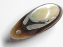 TOKO-BEADS | TOKO-BEADS |AB303-25 アコヤ貝チャーム（在庫限り） 33mm | TOKO-BEADS |AB303-25 Shell Charm (Final stock) 33mm Asian bead & African bead  Handmade,Lampeork,bead,asia,india,ethnic,parts,accessory,beads とんぼ玉,ビーズ,トンボ玉,アジア,インド,エスニック,手作り,パーツ,アクセサリー