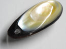 TOKO-BEADS | TOKO-BEADS |AB303-27 アコヤ貝チャーム（在庫限り） 33mm | TOKO-BEADS |AB303-27 Shell Charm (Final stock) 33mm Asian bead & African bead  Handmade,Lampeork,bead,asia,india,ethnic,parts,accessory,beads とんぼ玉,ビーズ,トンボ玉,アジア,インド,エスニック,手作り,パーツ,アクセサリー