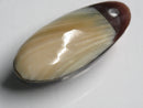 TOKO-BEADS | TOKO-BEADS |AB303-28 アコヤ貝チャーム（在庫限り） 33mm | TOKO-BEADS |AB303-28 Shell Charm (Final stock) 33mm Asian bead & African bead  Handmade,Lampeork,bead,asia,india,ethnic,parts,accessory,beads とんぼ玉,ビーズ,トンボ玉,アジア,インド,エスニック,手作り,パーツ,アクセサリー