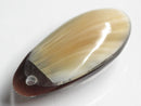 TOKO-BEADS | TOKO-BEADS |AB303-28 アコヤ貝チャーム（在庫限り） 33mm | TOKO-BEADS |AB303-28 Shell Charm (Final stock) 33mm Asian bead & African bead  Handmade,Lampeork,bead,asia,india,ethnic,parts,accessory,beads とんぼ玉,ビーズ,トンボ玉,アジア,インド,エスニック,手作り,パーツ,アクセサリー