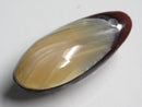 TOKO-BEADS | TOKO-BEADS |AB303-29 アコヤ貝チャーム（在庫限り） 33mm | TOKO-BEADS |AB303-29 Shell Charm (Final stock) 33mm Asian bead & African bead  Handmade,Lampeork,bead,asia,india,ethnic,parts,accessory,beads とんぼ玉,ビーズ,トンボ玉,アジア,インド,エスニック,手作り,パーツ,アクセサリー