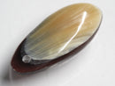TOKO-BEADS | TOKO-BEADS |AB303-29 アコヤ貝チャーム（在庫限り） 33mm | TOKO-BEADS |AB303-29 Shell Charm (Final stock) 33mm Asian bead & African bead  Handmade,Lampeork,bead,asia,india,ethnic,parts,accessory,beads とんぼ玉,ビーズ,トンボ玉,アジア,インド,エスニック,手作り,パーツ,アクセサリー