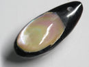 TOKO-BEADS | TOKO-BEADS |AB303-31 アコヤ貝チャーム（在庫限り） 33mm | TOKO-BEADS |AB303-31 Shell Charm (Final stock) 33mm Asian bead & African bead  Handmade,Lampeork,bead,asia,india,ethnic,parts,accessory,beads とんぼ玉,ビーズ,トンボ玉,アジア,インド,エスニック,手作り,パーツ,アクセサリー