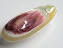 TOKO-BEADS | TOKO-BEADS |AB303-32 アコヤ貝チャーム（在庫限り） 33mm | TOKO-BEADS |AB303-32 Shell Charm (Final stock) 33mm Asian bead & African bead  Handmade,Lampeork,bead,asia,india,ethnic,parts,accessory,beads とんぼ玉,ビーズ,トンボ玉,アジア,インド,エスニック,手作り,パーツ,アクセサリー