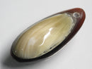 TOKO-BEADS | TOKO-BEADS |AB303-33 アコヤ貝チャーム（在庫限り） 33mm | TOKO-BEADS |AB303-33 Shell Charm (Final stock) 33mm Asian bead & African bead  Handmade,Lampeork,bead,asia,india,ethnic,parts,accessory,beads とんぼ玉,ビーズ,トンボ玉,アジア,インド,エスニック,手作り,パーツ,アクセサリー