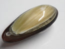 TOKO-BEADS | TOKO-BEADS |AB303-33 アコヤ貝チャーム（在庫限り） 33mm | TOKO-BEADS |AB303-33 Shell Charm (Final stock) 33mm Asian bead & African bead  Handmade,Lampeork,bead,asia,india,ethnic,parts,accessory,beads とんぼ玉,ビーズ,トンボ玉,アジア,インド,エスニック,手作り,パーツ,アクセサリー