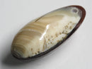 TOKO-BEADS | TOKO-BEADS |AB303-34 アコヤ貝チャーム（在庫限り） 33mm | TOKO-BEADS |AB303-34 Shell Charm (Final stock) 33mm Asian bead & African bead  Handmade,Lampeork,bead,asia,india,ethnic,parts,accessory,beads とんぼ玉,ビーズ,トンボ玉,アジア,インド,エスニック,手作り,パーツ,アクセサリー