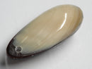 TOKO-BEADS | TOKO-BEADS |AB303-36 アコヤ貝チャーム（在庫限り） 33mm | TOKO-BEADS |AB303-36 Shell Charm (Final stock) 33mm Asian bead & African bead  Handmade,Lampeork,bead,asia,india,ethnic,parts,accessory,beads とんぼ玉,ビーズ,トンボ玉,アジア,インド,エスニック,手作り,パーツ,アクセサリー
