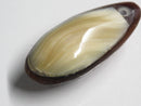 TOKO-BEADS | TOKO-BEADS |AB303-38 アコヤ貝チャーム（在庫限り） 33mm | TOKO-BEADS |AB303-38 Shell Charm (Final stock) 33mm Asian bead & African bead  Handmade,Lampeork,bead,asia,india,ethnic,parts,accessory,beads とんぼ玉,ビーズ,トンボ玉,アジア,インド,エスニック,手作り,パーツ,アクセサリー