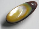 TOKO-BEADS | TOKO-BEADS |AB303-39 アコヤ貝チャーム（在庫限り） 33mm | TOKO-BEADS |AB303-39 Shell Charm (Final stock) 33mm Asian bead & African bead  Handmade,Lampeork,bead,asia,india,ethnic,parts,accessory,beads とんぼ玉,ビーズ,トンボ玉,アジア,インド,エスニック,手作り,パーツ,アクセサリー