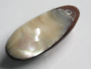 TOKO-BEADS | TOKO-BEADS |AB303-43 アコヤ貝チャーム（在庫限り） 33mm | TOKO-BEADS |AB303-43 Shell Charm (Final stock) 33mm Asian bead & African bead  Handmade,Lampeork,bead,asia,india,ethnic,parts,accessory,beads とんぼ玉,ビーズ,トンボ玉,アジア,インド,エスニック,手作り,パーツ,アクセサリー