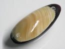 TOKO-BEADS | TOKO-BEADS |AB303-44 アコヤ貝チャーム（在庫限り） 33mm | TOKO-BEADS |AB303-44 Shell Charm (Final stock) 33mm Asian bead & African bead  Handmade,Lampeork,bead,asia,india,ethnic,parts,accessory,beads とんぼ玉,ビーズ,トンボ玉,アジア,インド,エスニック,手作り,パーツ,アクセサリー