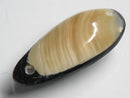 TOKO-BEADS | TOKO-BEADS |AB303-44 アコヤ貝チャーム（在庫限り） 33mm | TOKO-BEADS |AB303-44 Shell Charm (Final stock) 33mm Asian bead & African bead  Handmade,Lampeork,bead,asia,india,ethnic,parts,accessory,beads とんぼ玉,ビーズ,トンボ玉,アジア,インド,エスニック,手作り,パーツ,アクセサリー