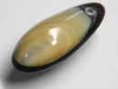 TOKO-BEADS | TOKO-BEADS |AB303-46 アコヤ貝チャーム（在庫限り） 33mm | TOKO-BEADS |AB303-46 Shell Charm (Final stock) 33mm Asian bead & African bead  Handmade,Lampeork,bead,asia,india,ethnic,parts,accessory,beads とんぼ玉,ビーズ,トンボ玉,アジア,インド,エスニック,手作り,パーツ,アクセサリー