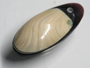 TOKO-BEADS | TOKO-BEADS |AB303-48 アコヤ貝チャーム（在庫限り） 33mm | TOKO-BEADS |AB303-48 Shell Charm (Final stock) 33mm Asian bead & African bead  Handmade,Lampeork,bead,asia,india,ethnic,parts,accessory,beads とんぼ玉,ビーズ,トンボ玉,アジア,インド,エスニック,手作り,パーツ,アクセサリー