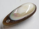 TOKO-BEADS | TOKO-BEADS |AB303-52 アコヤ貝チャーム（在庫限り） 33mm | TOKO-BEADS |AB303-52 Shell Charm (Final stock) 33mm Asian bead & African bead  Handmade,Lampeork,bead,asia,india,ethnic,parts,accessory,beads とんぼ玉,ビーズ,トンボ玉,アジア,インド,エスニック,手作り,パーツ,アクセサリー