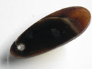 TOKO-BEADS | TOKO-BEADS |AB303-54 アコヤ貝チャーム（在庫限り） 33mm | TOKO-BEADS |AB303-54 Shell Charm (Final stock) 33mm Asian bead & African bead  Handmade,Lampeork,bead,asia,india,ethnic,parts,accessory,beads とんぼ玉,ビーズ,トンボ玉,アジア,インド,エスニック,手作り,パーツ,アクセサリー