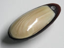 TOKO-BEADS | TOKO-BEADS |AB303-55 アコヤ貝チャーム（在庫限り） 33mm | TOKO-BEADS |AB303-55 Shell Charm (Final stock) 33mm Asian bead & African bead  Handmade,Lampeork,bead,asia,india,ethnic,parts,accessory,beads とんぼ玉,ビーズ,トンボ玉,アジア,インド,エスニック,手作り,パーツ,アクセサリー
