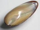 TOKO-BEADS | TOKO-BEADS |AB303-56 アコヤ貝チャーム（在庫限り） 33mm | TOKO-BEADS |AB303-56 Shell Charm (Final stock) 33mm Asian bead & African bead  Handmade,Lampeork,bead,asia,india,ethnic,parts,accessory,beads とんぼ玉,ビーズ,トンボ玉,アジア,インド,エスニック,手作り,パーツ,アクセサリー