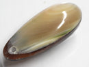 TOKO-BEADS | TOKO-BEADS |AB303-56 アコヤ貝チャーム（在庫限り） 33mm | TOKO-BEADS |AB303-56 Shell Charm (Final stock) 33mm Asian bead & African bead  Handmade,Lampeork,bead,asia,india,ethnic,parts,accessory,beads とんぼ玉,ビーズ,トンボ玉,アジア,インド,エスニック,手作り,パーツ,アクセサリー