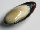 TOKO-BEADS | TOKO-BEADS |AB303-57 アコヤ貝チャーム（在庫限り） 33mm | TOKO-BEADS |AB303-57 Shell Charm (Final stock) 33mm Asian bead & African bead  Handmade,Lampeork,bead,asia,india,ethnic,parts,accessory,beads とんぼ玉,ビーズ,トンボ玉,アジア,インド,エスニック,手作り,パーツ,アクセサリー