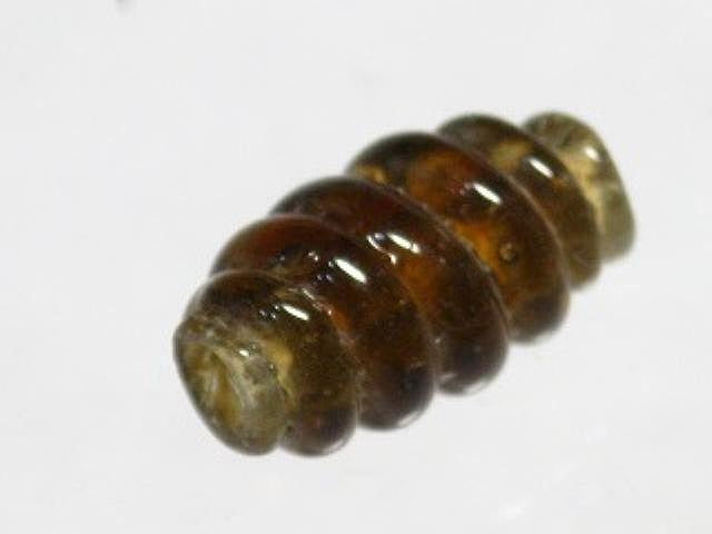 TOKO-BEADS AG134-10S Glass bead 8mm AG134-10S トゥイストビーズ 8mm Asian bead & African bead  Handmade,Lampeork,bead,asia,india,ethnic,parts,accessory,beads とんぼ玉,ビーズ,トンボ玉,アジア,インド,エスニック,手作り,パーツ,アクセサリー